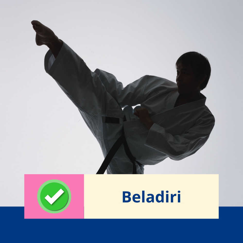 Ekstrakurikuler Beladiri